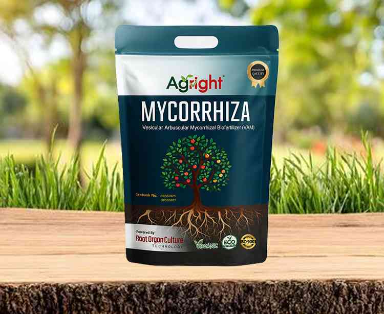 Mycorrhiza Granules