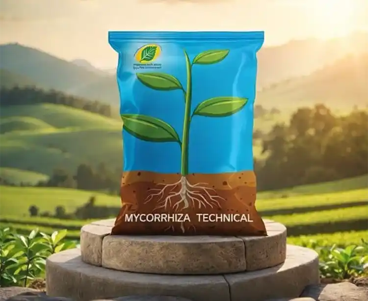 Mycorrhiza Technical