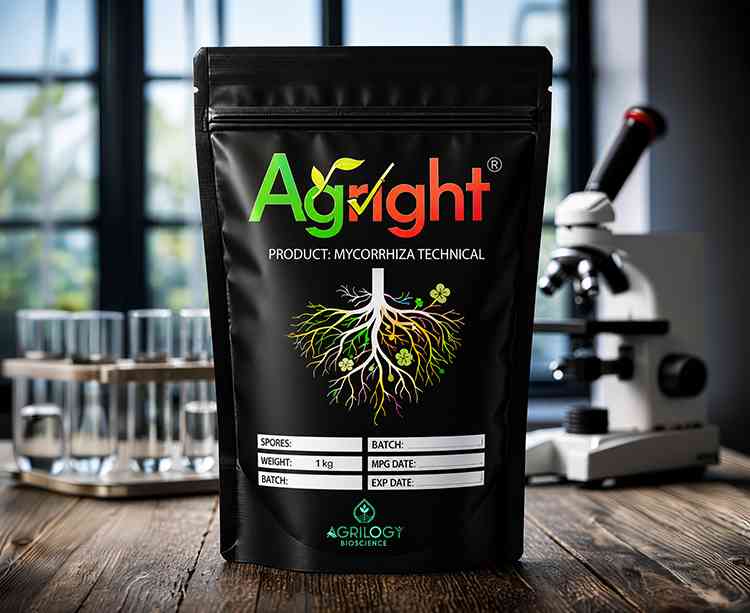 Mycorrhiza Technical