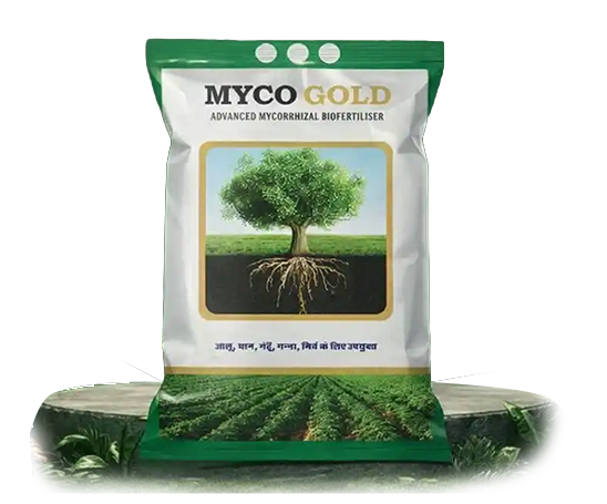 Mycorrhiza Granules