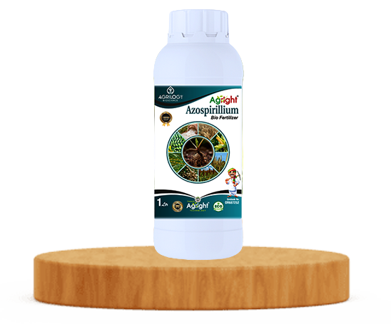 Azospirillum