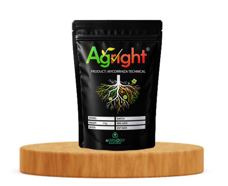 Mycorrhiza Technical